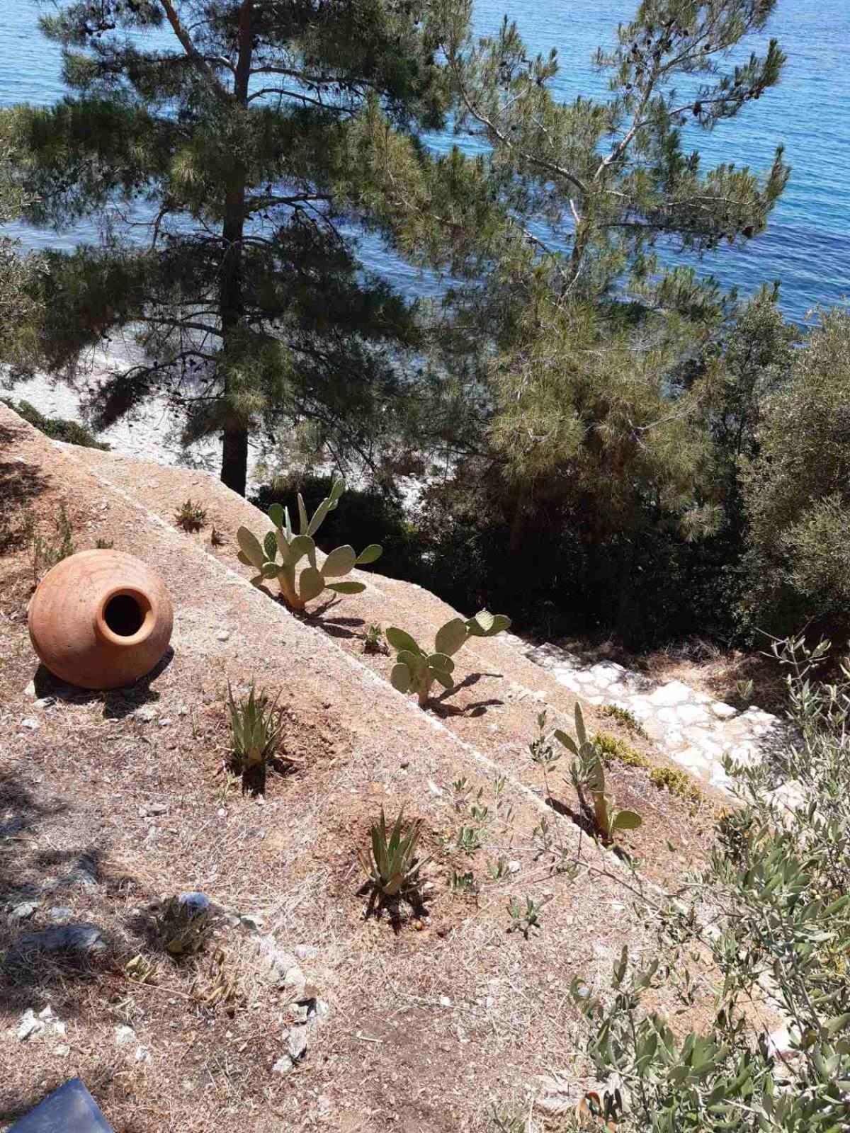 Δωμάτια Κόκκινος Πύργος Plomari Dış mekan fotoğraf