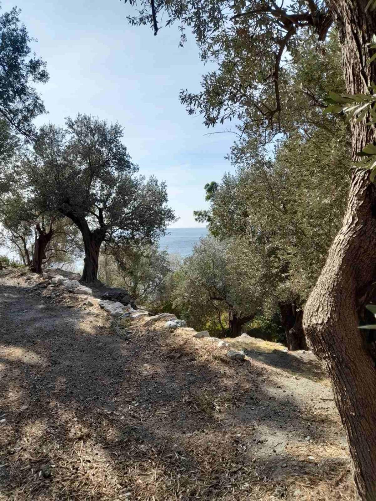 Δωμάτια Κόκκινος Πύργος Plomari Dış mekan fotoğraf